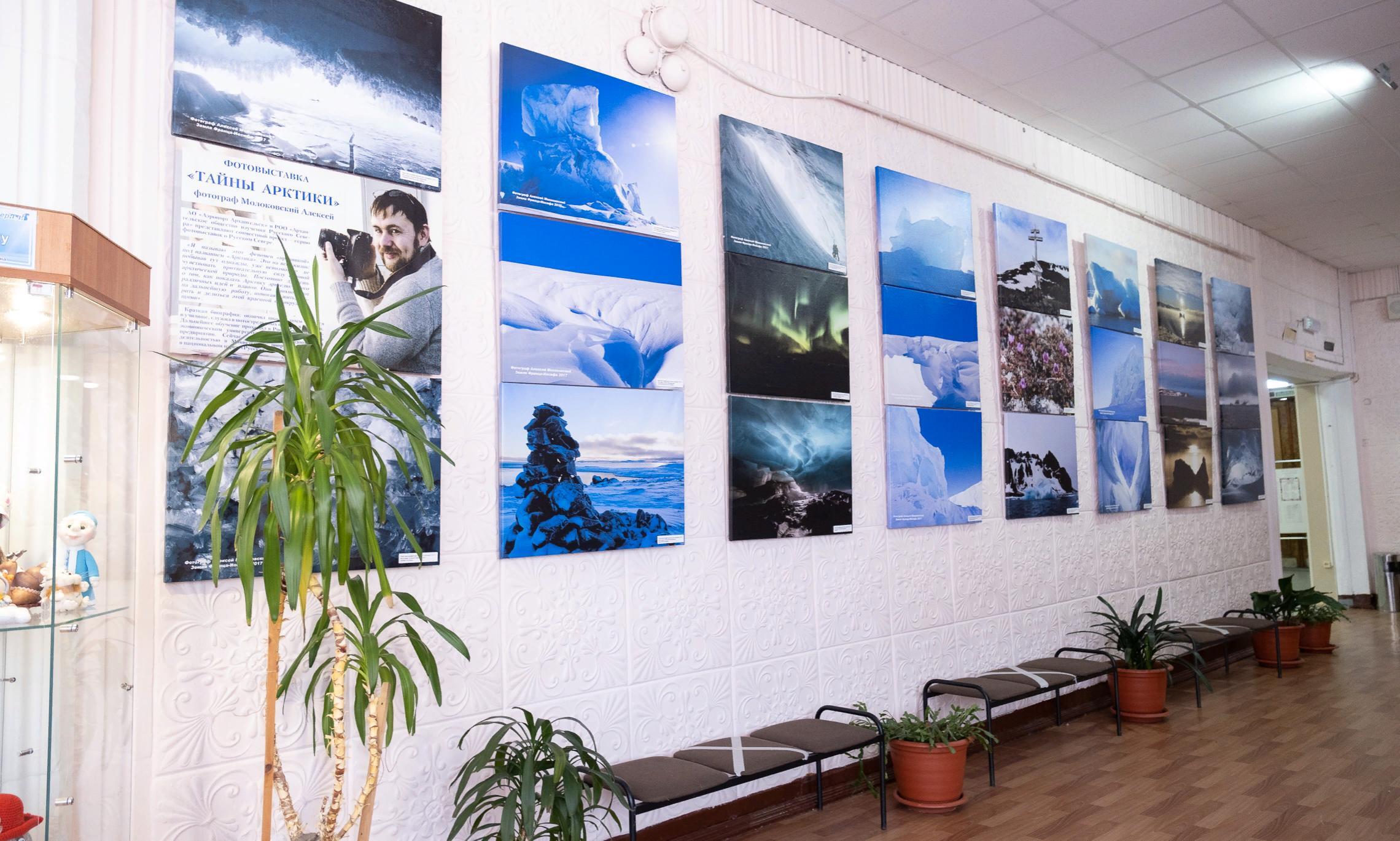 Фотовыставка Алексея Молоковского «Тайны Арктики».